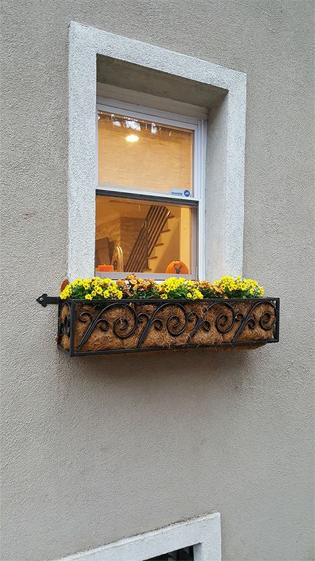 A window box with yellow flowers in it on the side of a building.