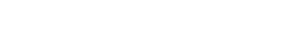 Full Service LOGO
