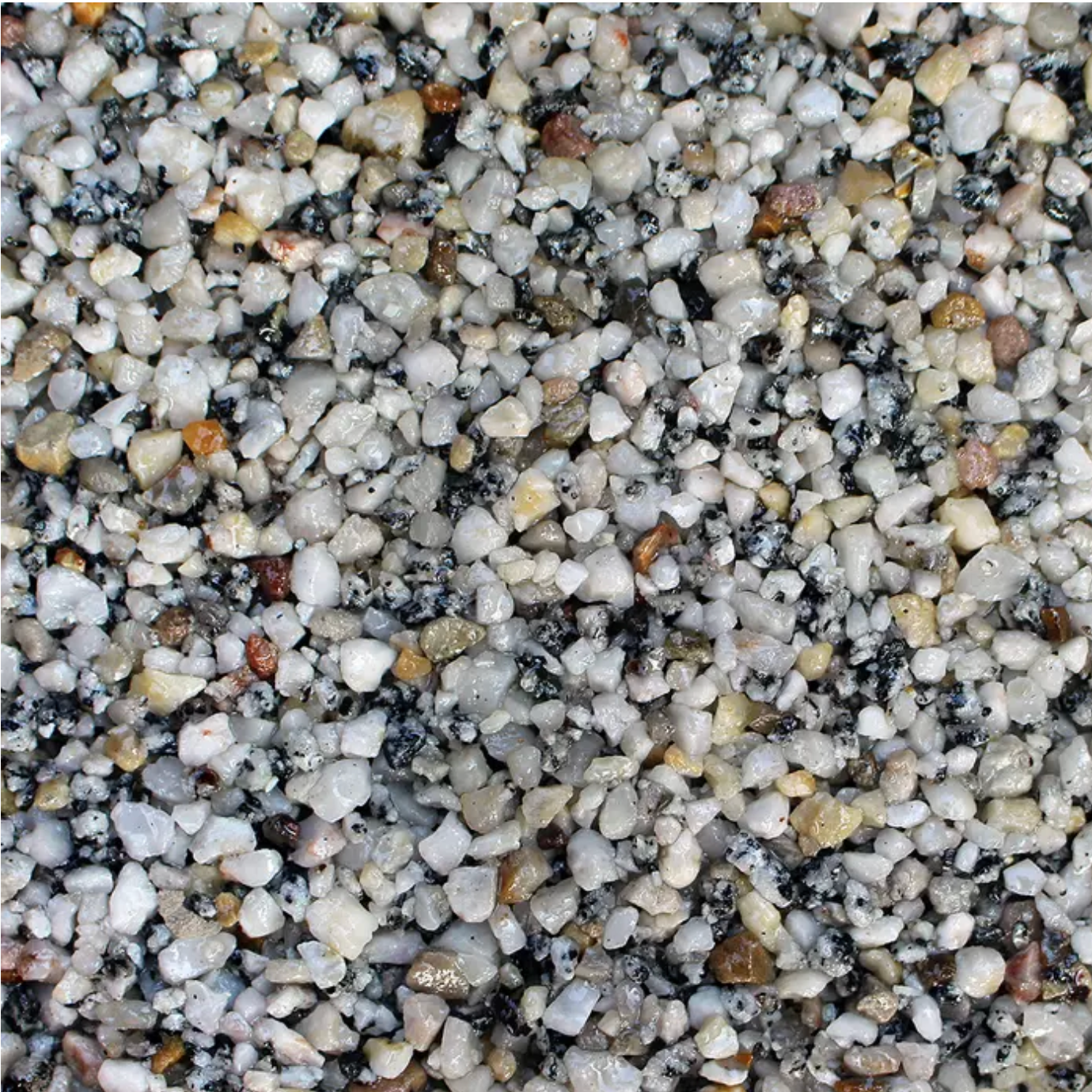 Close-up of a speckled aggregate surface with a mix of white, gray, black, and tan stones.
