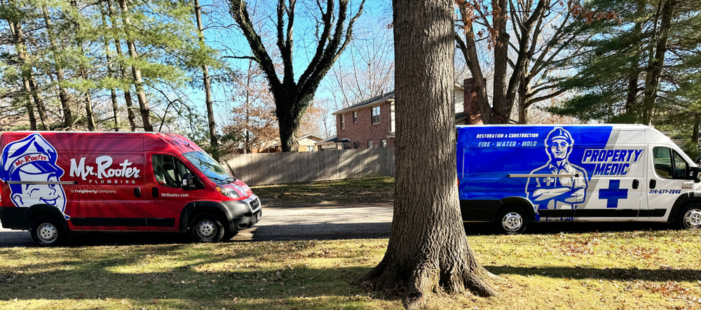 Two vans are parked next to each other in front of a tree.