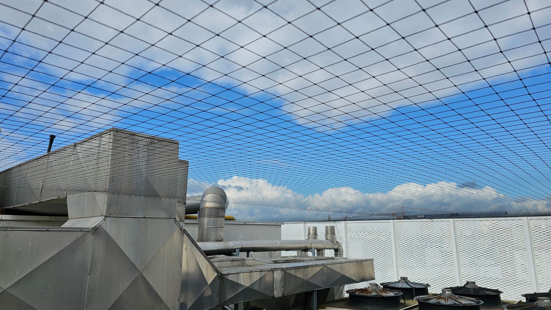 Professionele-installatie-van-vogelweringsnetten