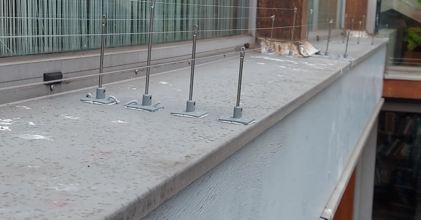 Bird-wire plaatsen op vensterbank in Leuven door Killbugs