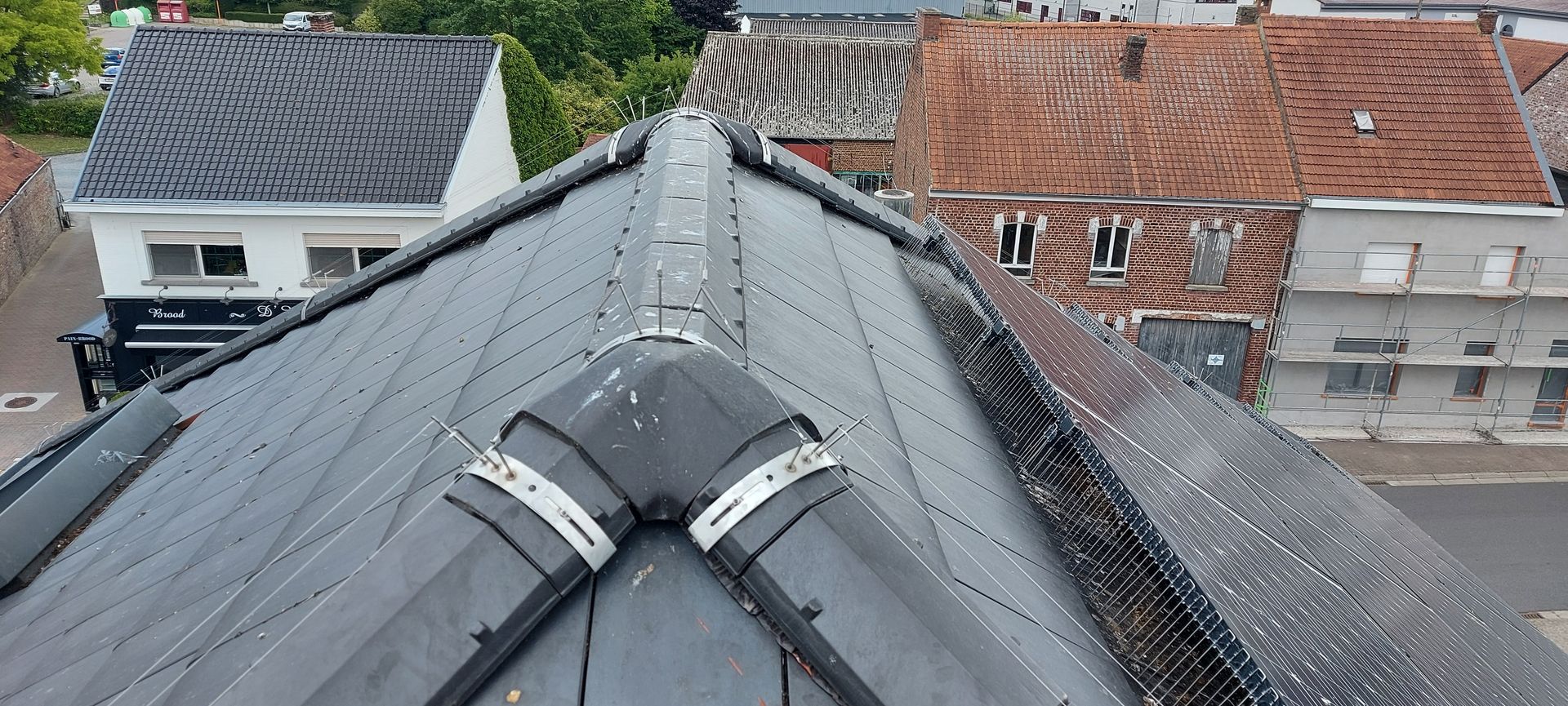 Bird-wire en vogelwering op zonnepanelen geplaatst in Hasselt door Killbugs