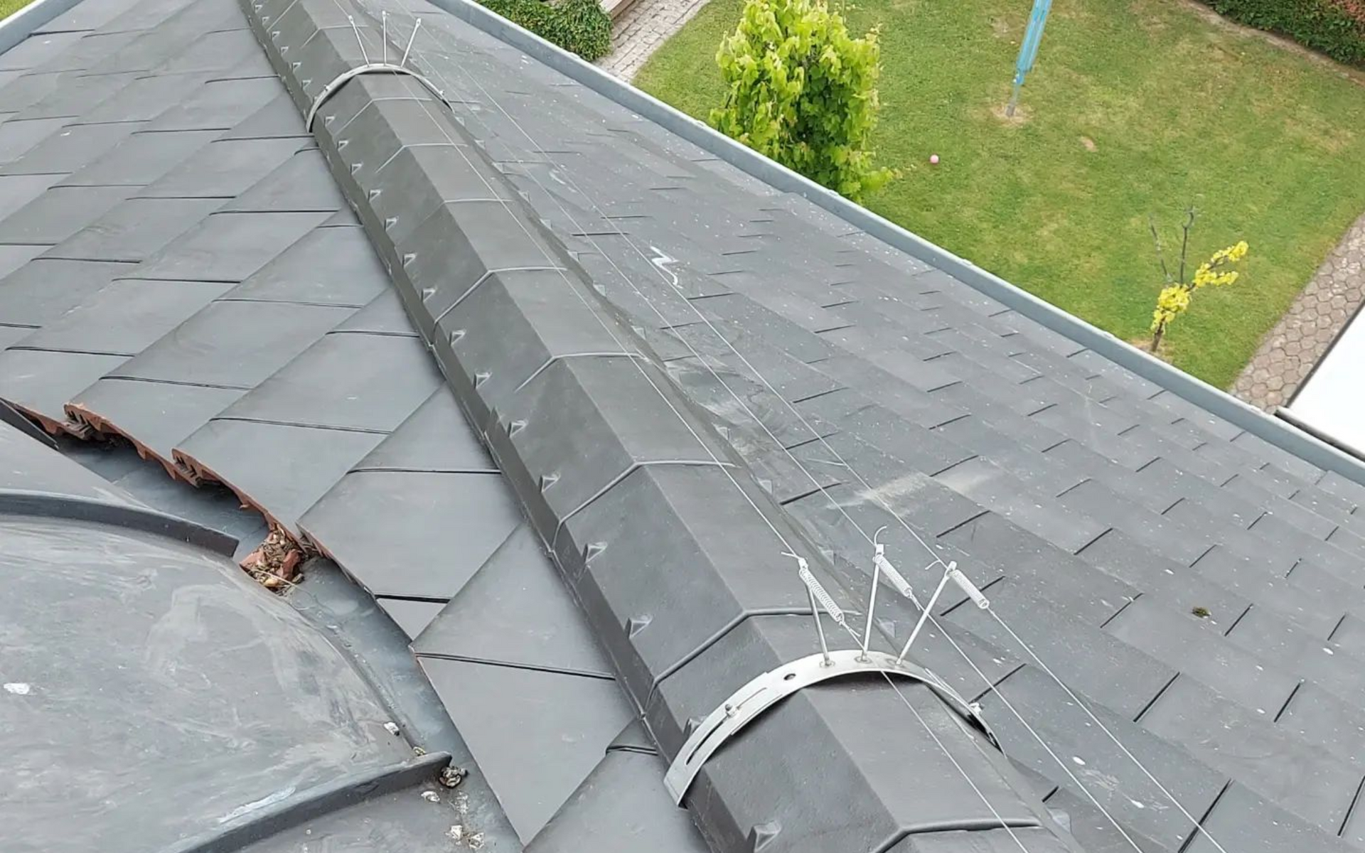 Bird-wire (duivendraad)