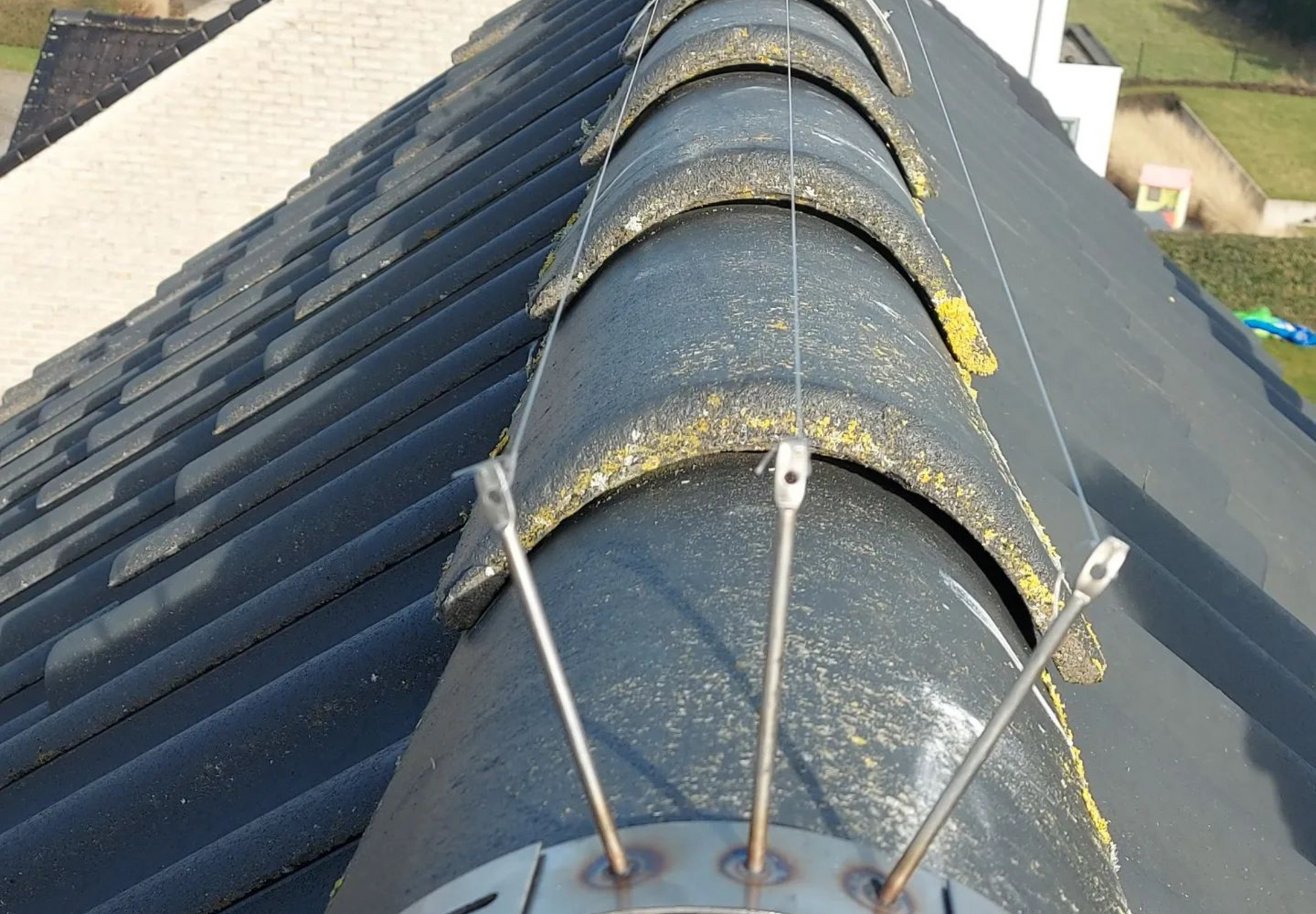 Bird-wire plaatsen op dak in Hasselt door Limburg