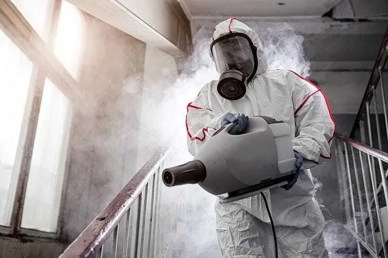 Extreme schoonmaak in Limburg door Killbugs