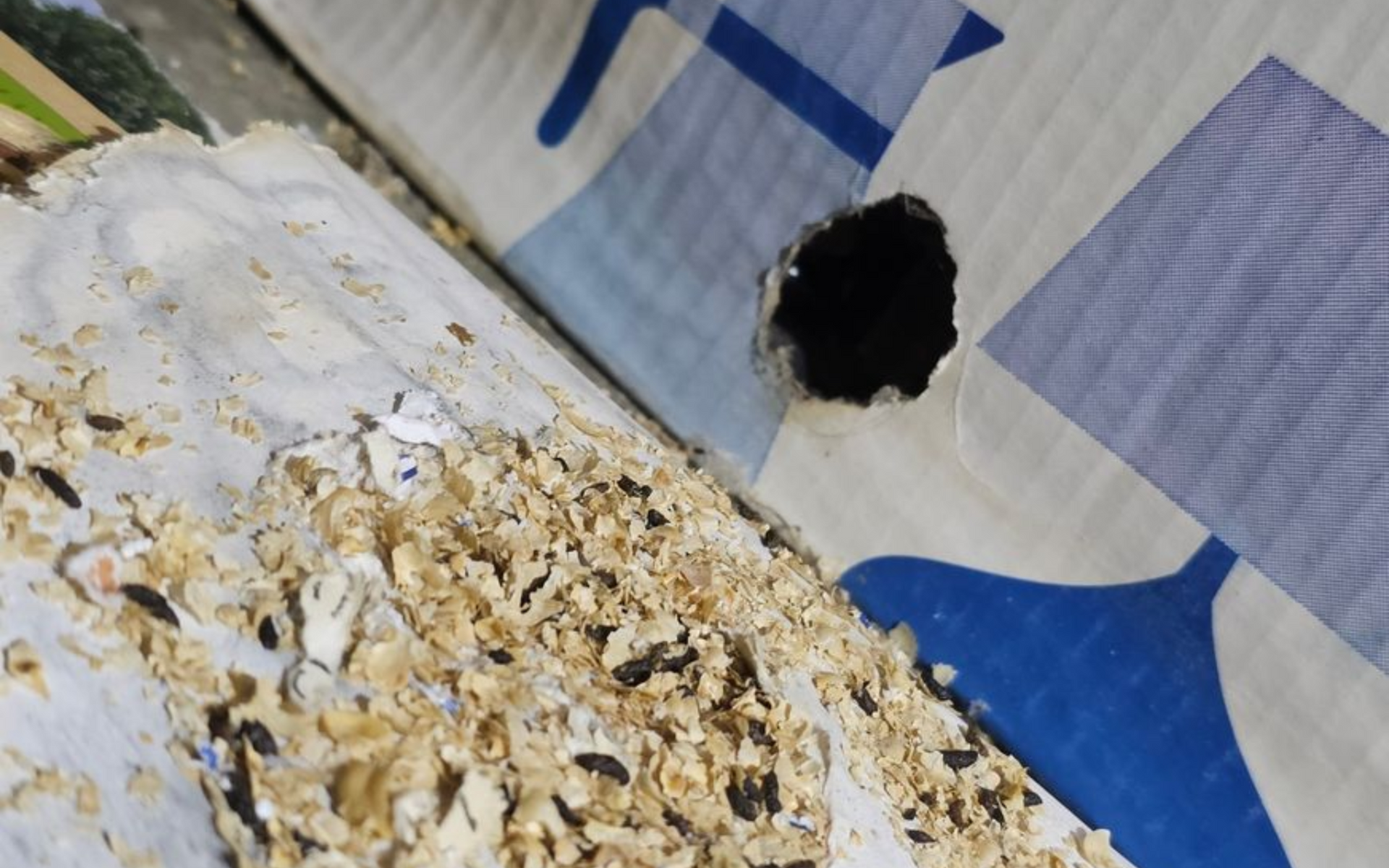 Knaagschade door muizen