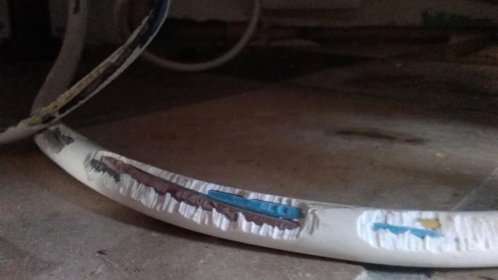 Knaagschade door muizen