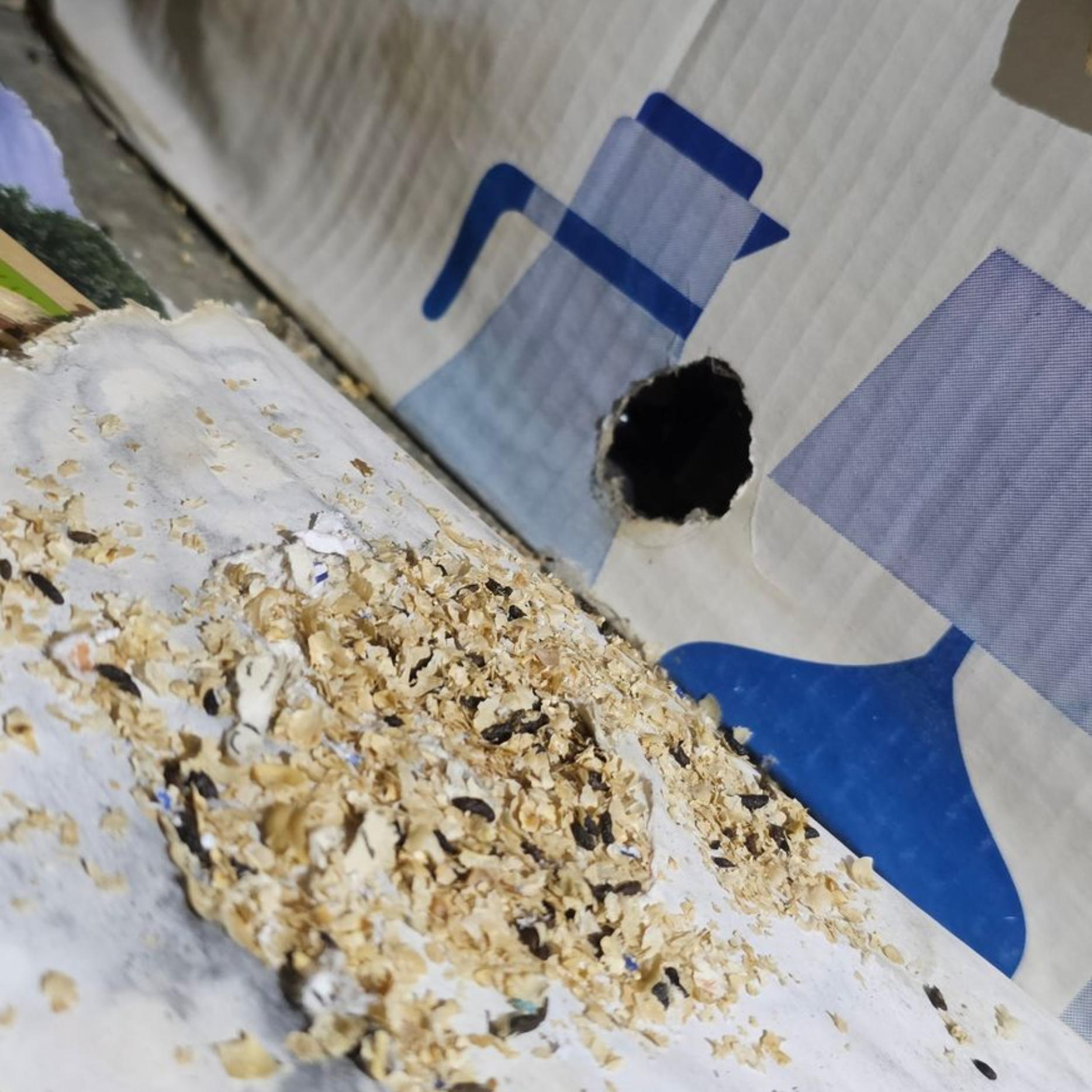 muizenbestrijding in Limburg door killbugs