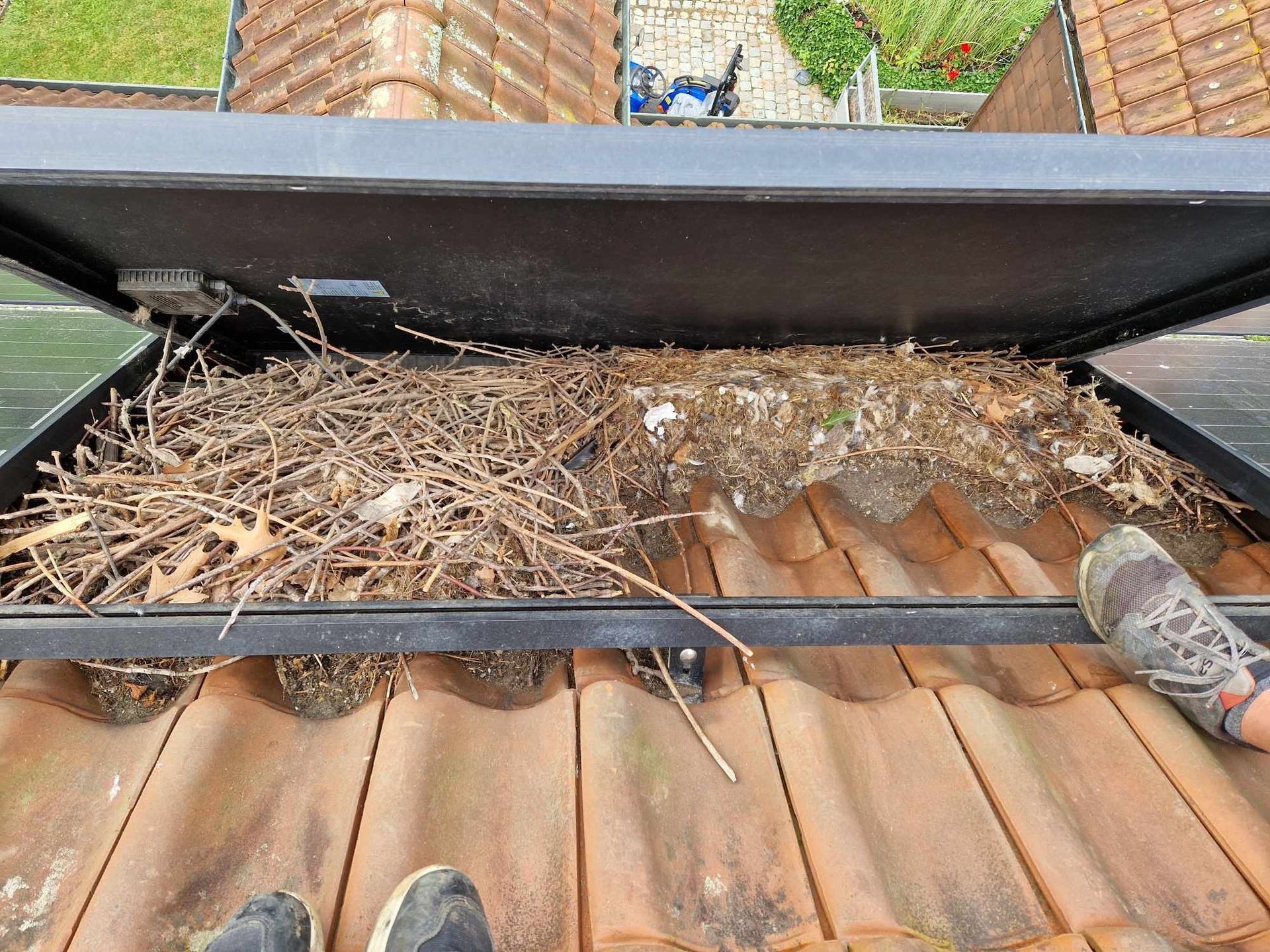 Vogelnesten-onder-zonepanelen