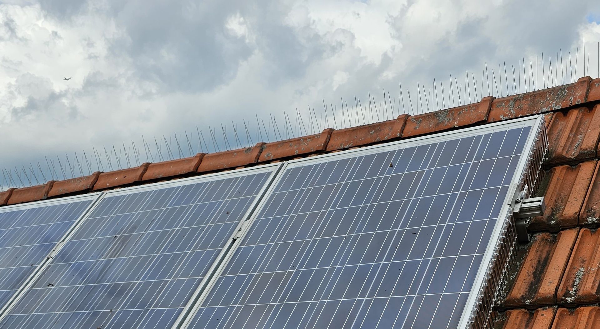 Vogelpinnen geplaatst op nok en zonnepanelen in Limburg door Killbugs