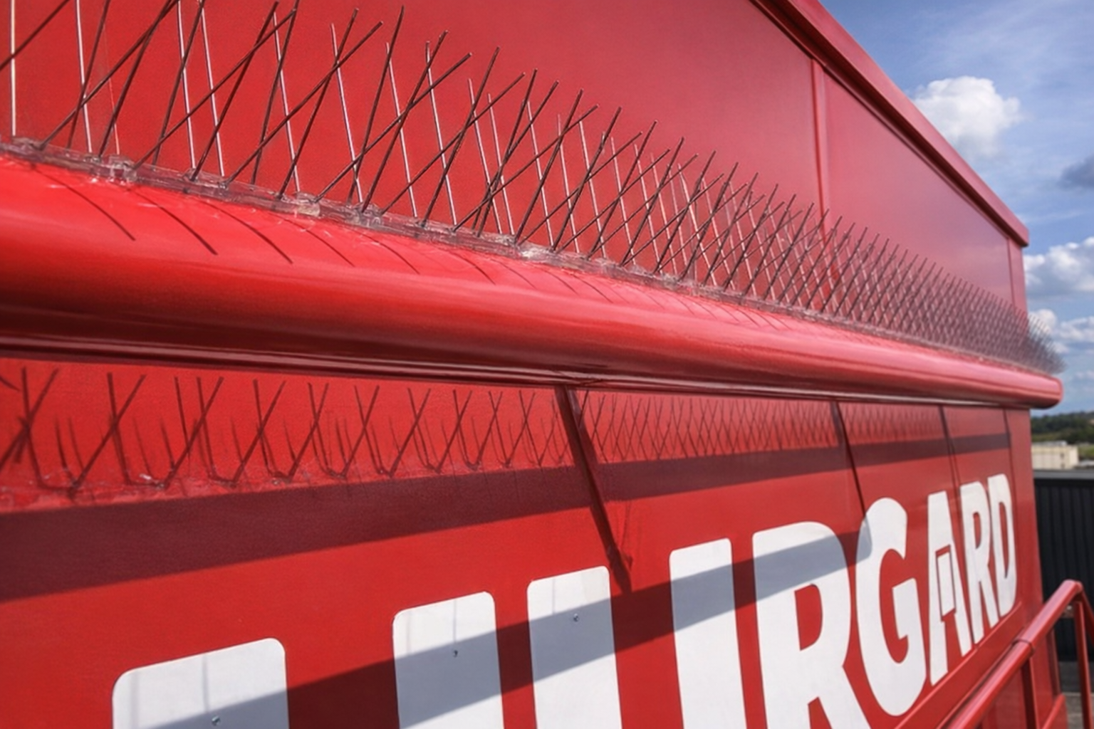 Vogelpinnen geplaatst in Limburg door Killbugs