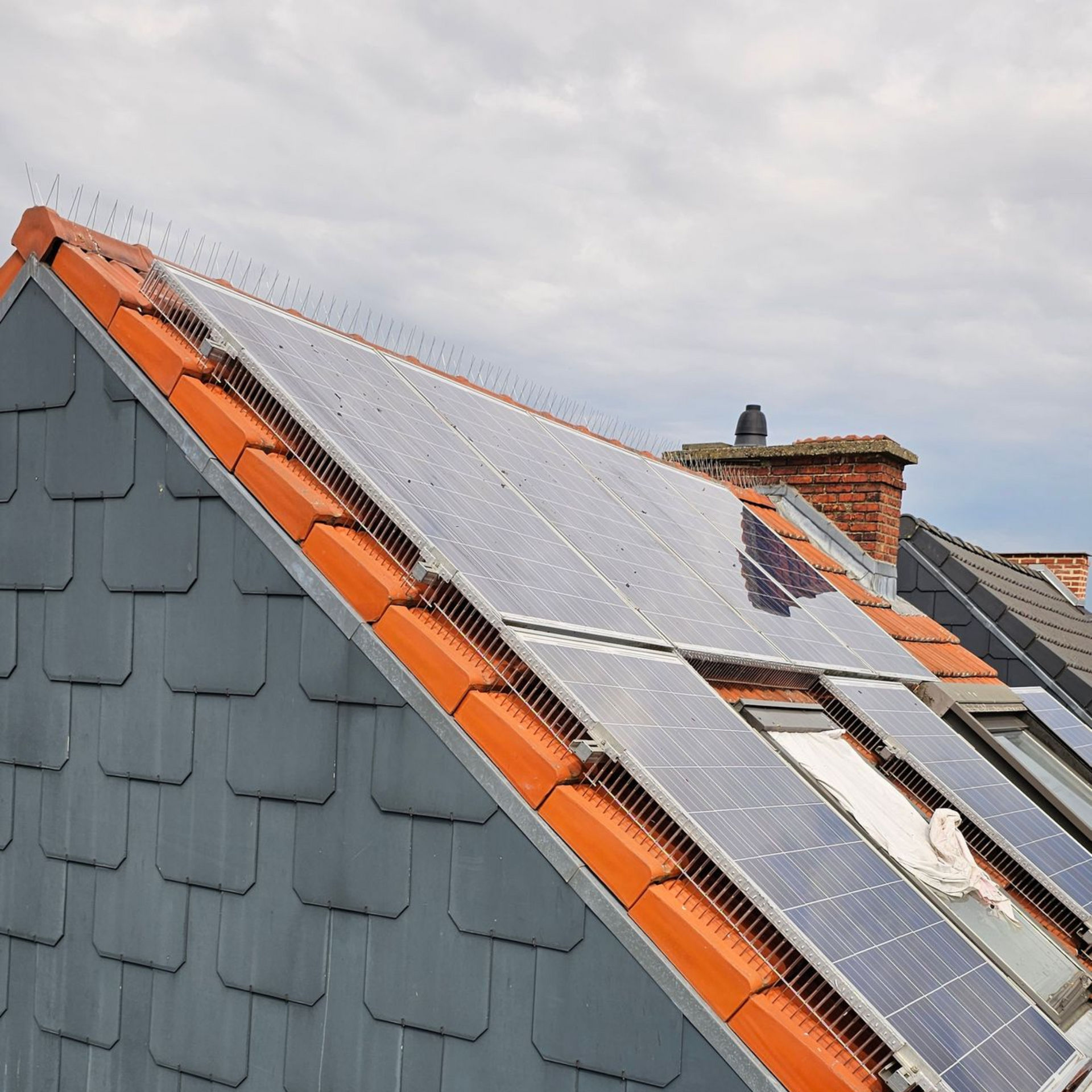 Duivenwering op zonnepanelen en daknok geplaatst in Limburg door Killbugs