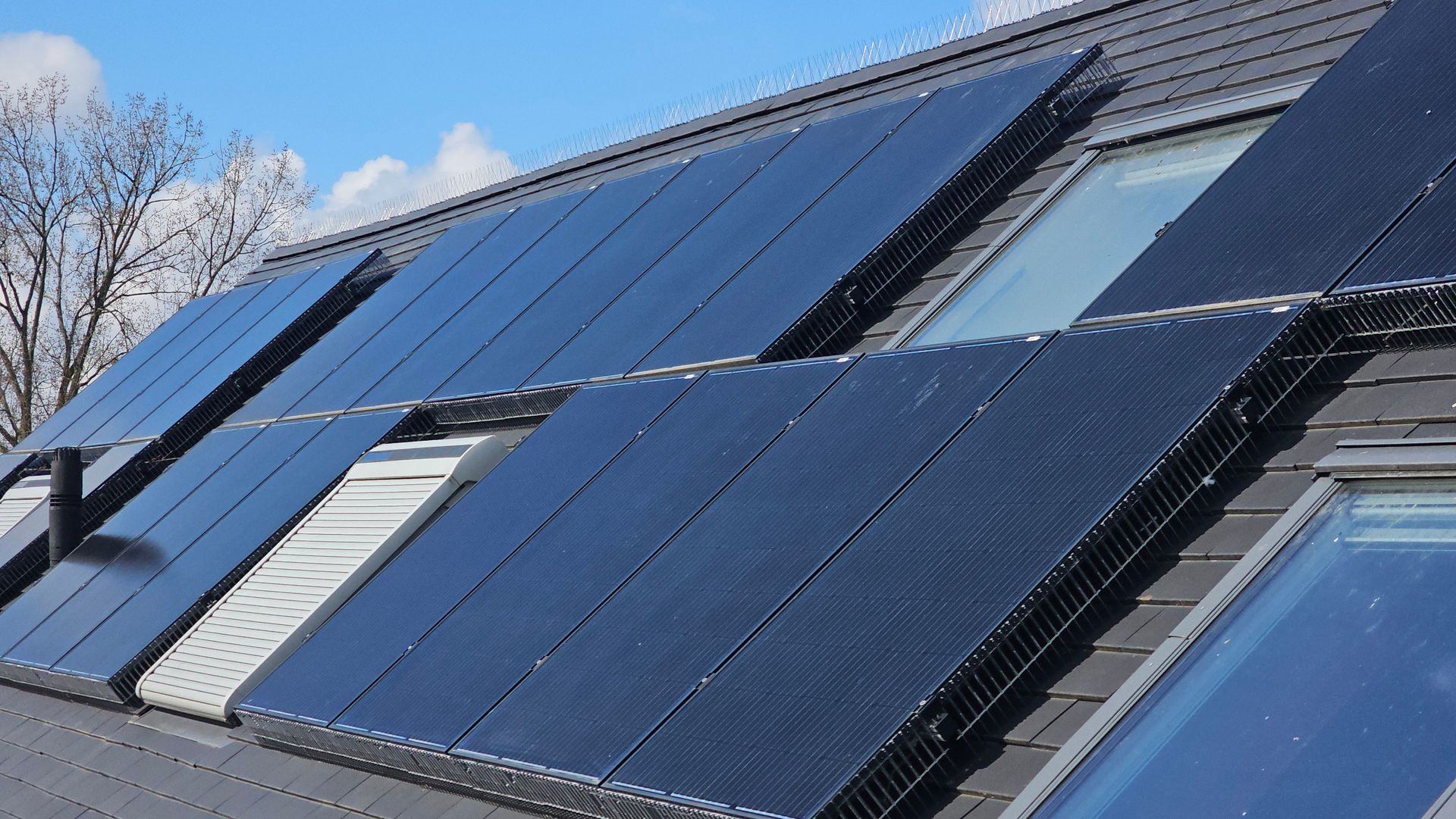 vogelwering voor zonnepanelen geplaatst door Killbugs