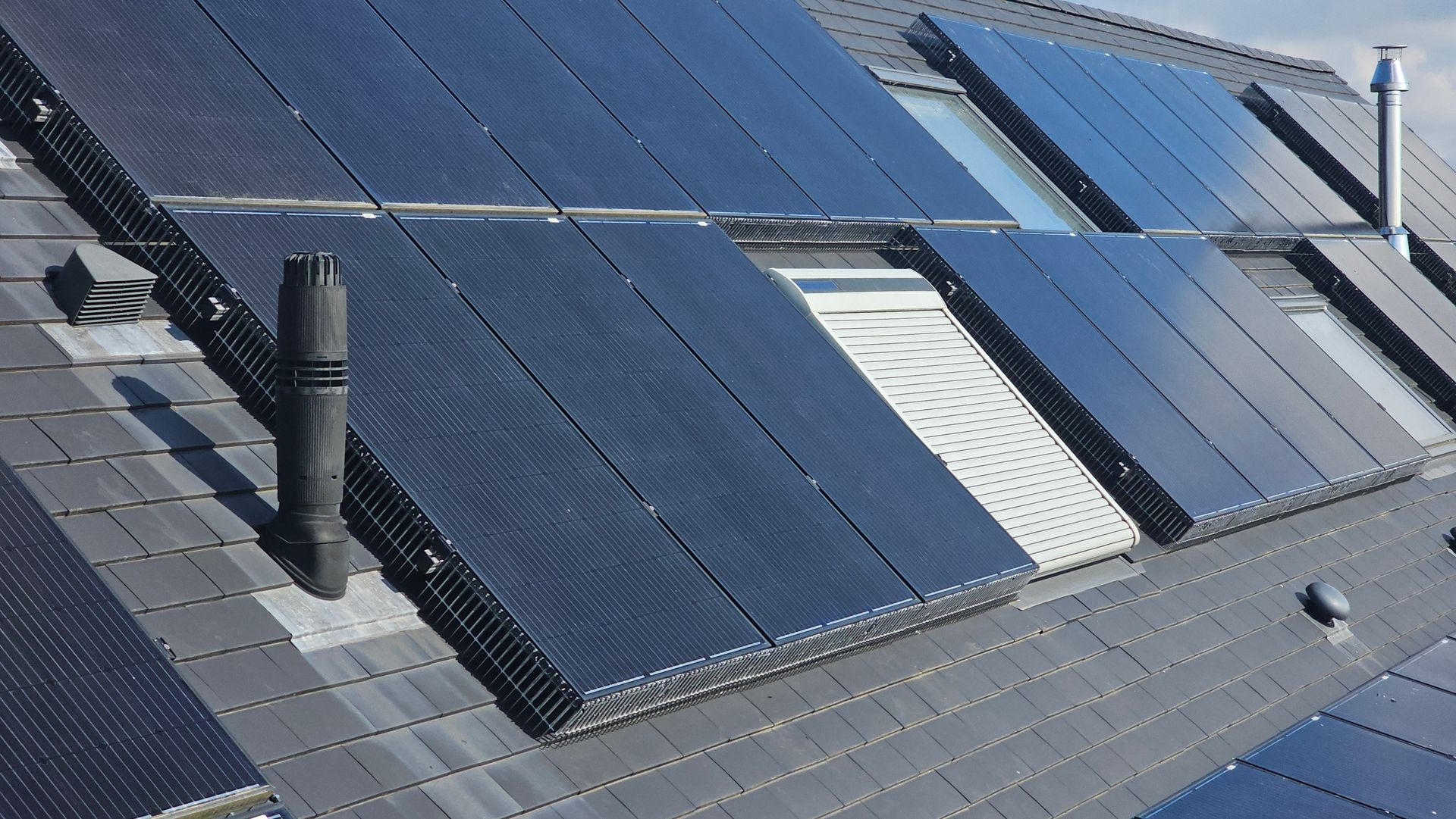 Vogelwering geplaatst op zonnepanelen in Limburg door Killbugs