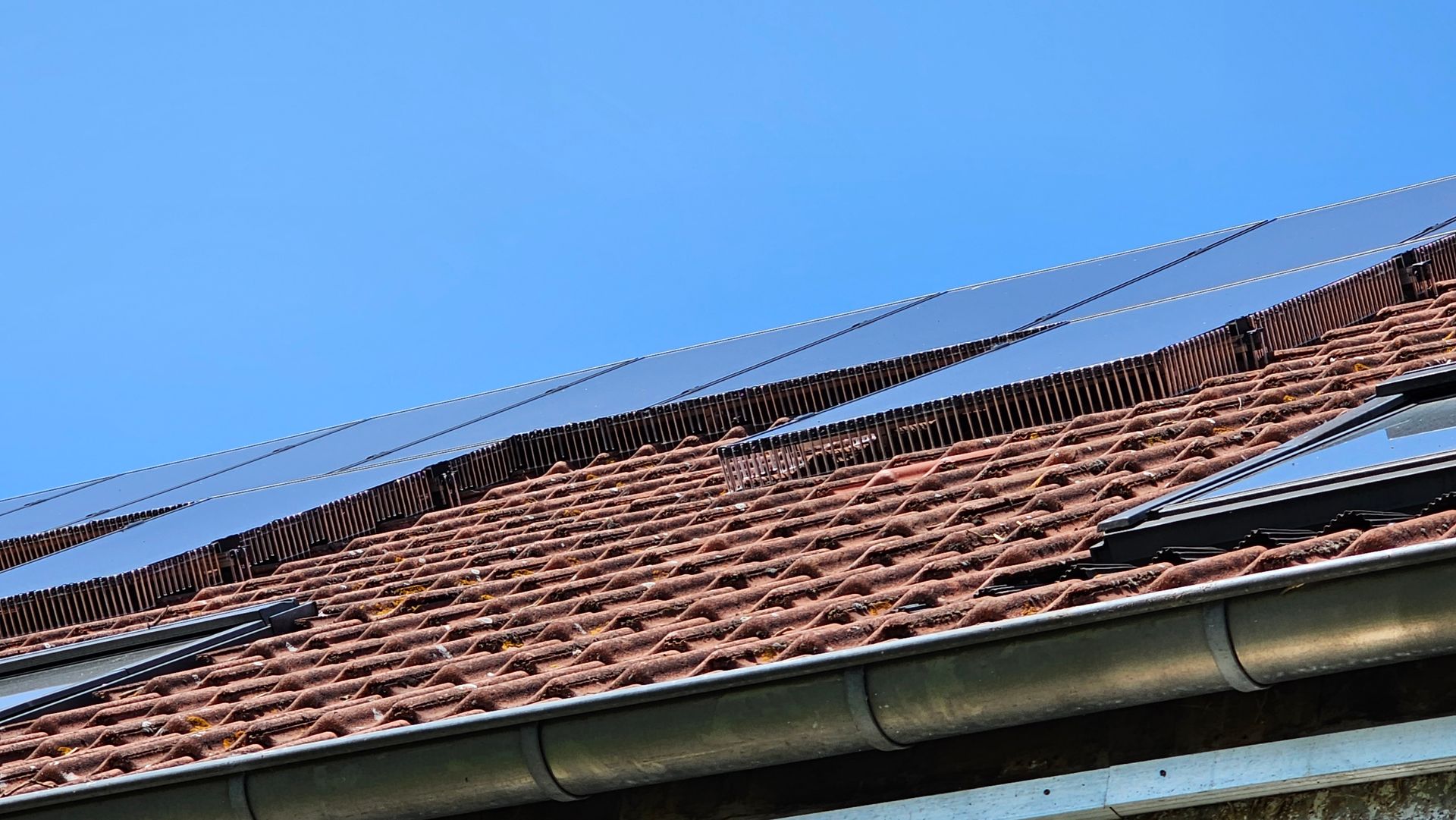 Vogelwering voor zonnepanelen geplaatst in Hasselt door Killbugs
