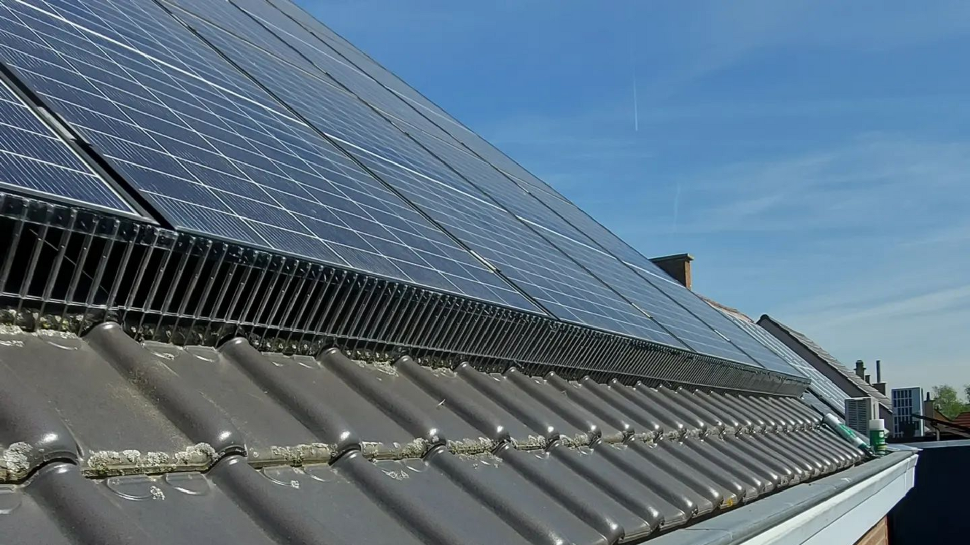 Vogelwering voor zonnepanelen geplaatst in Limburg door Killbugs