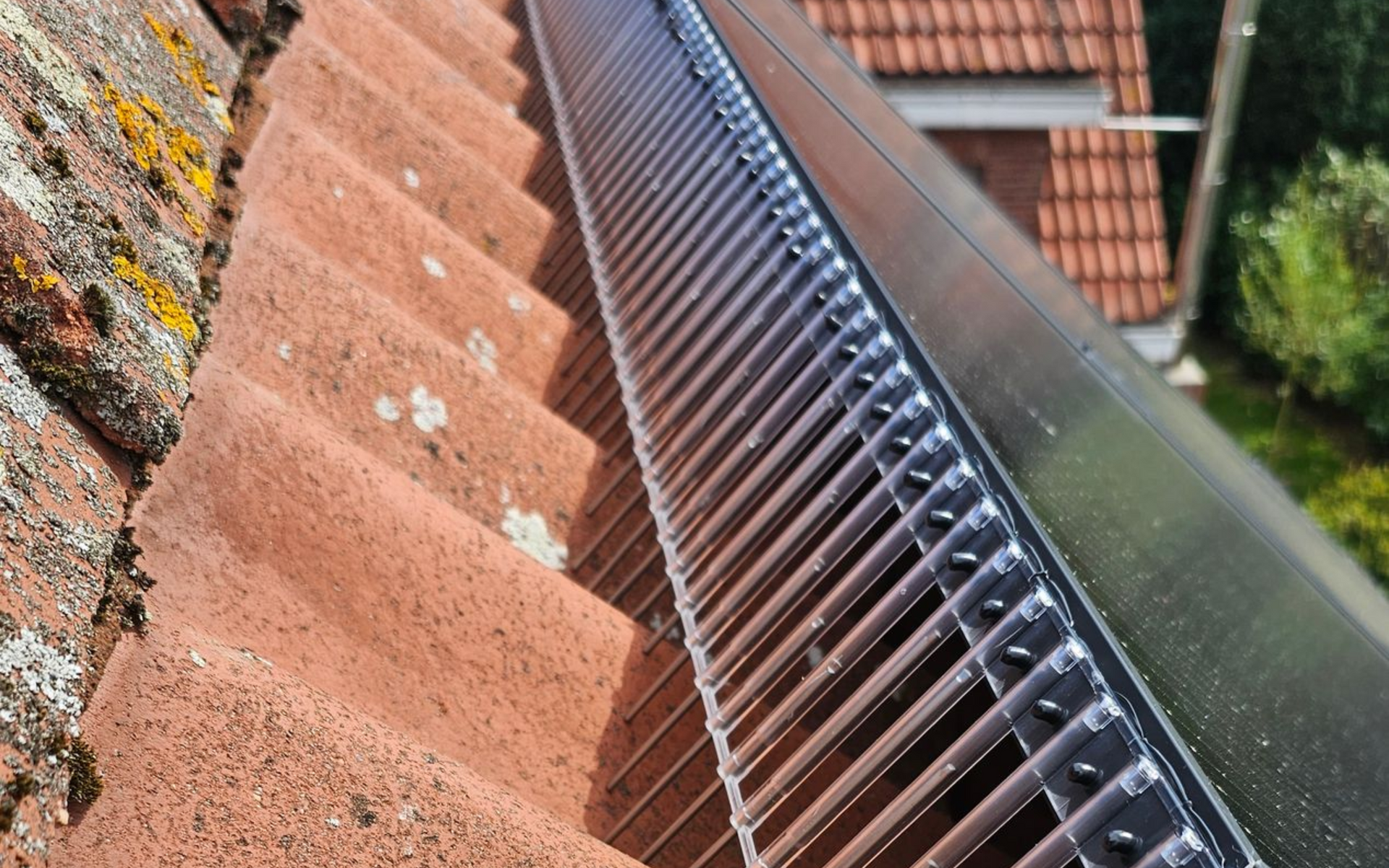 vogelwering voor zonnepanelen tegen duiven en kauwen