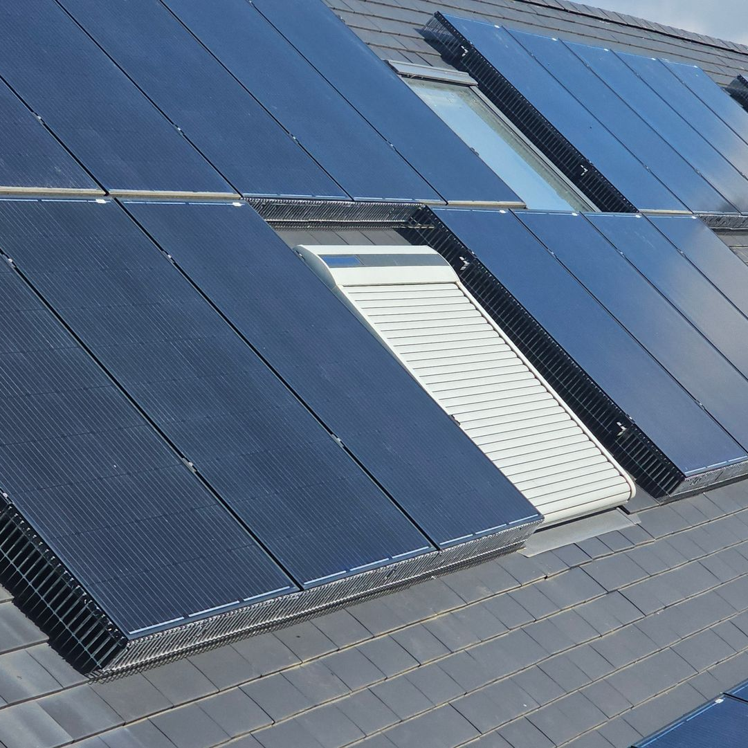 Vogelwering voor zonnepanelen Limburg
