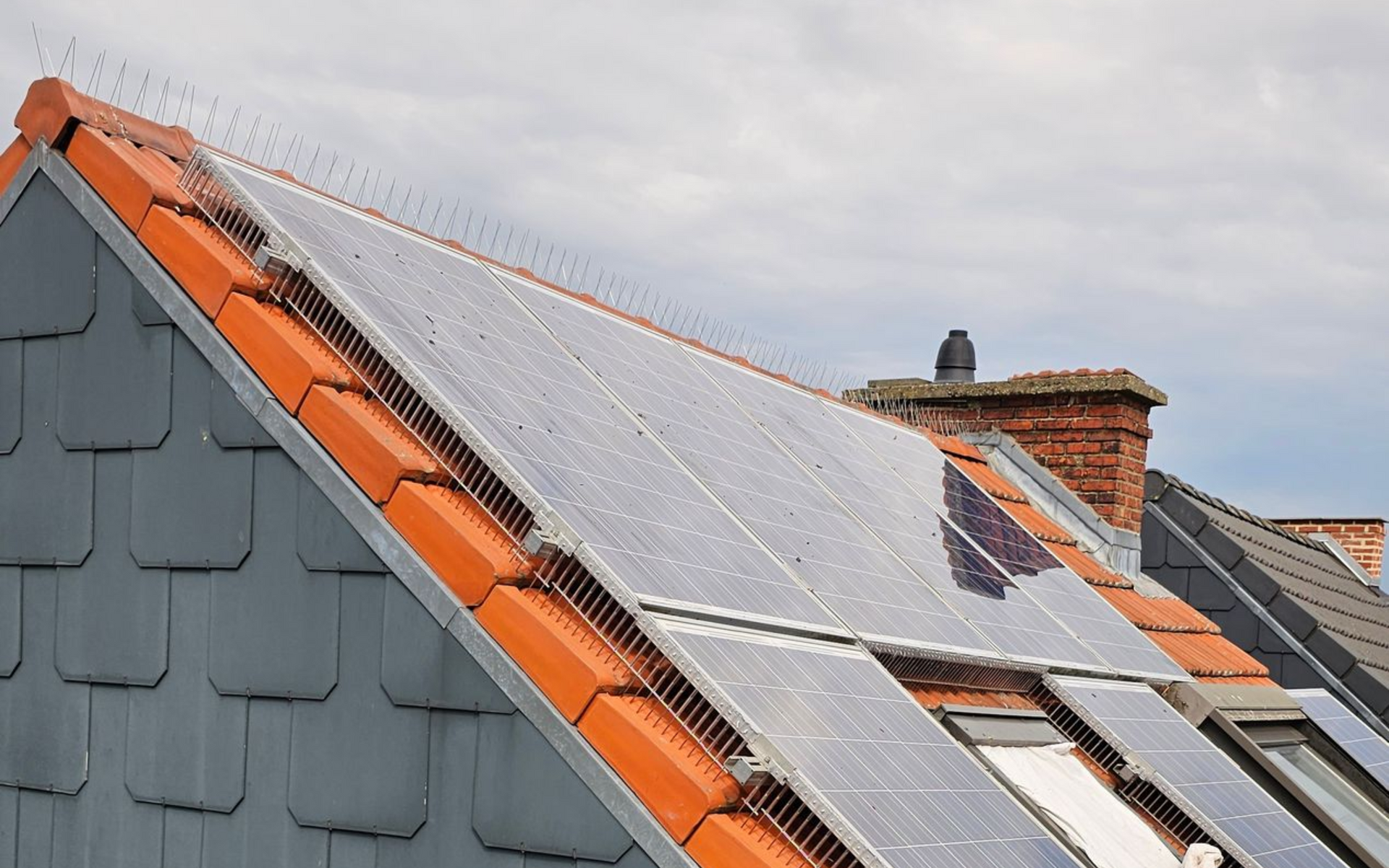 Vogelwering geplaatst op zonnepanelen en op het dak in Herent door Killbugs
