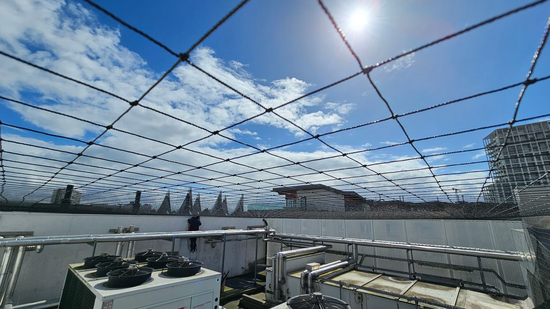 Vogelweringen Killbugs in Limburg