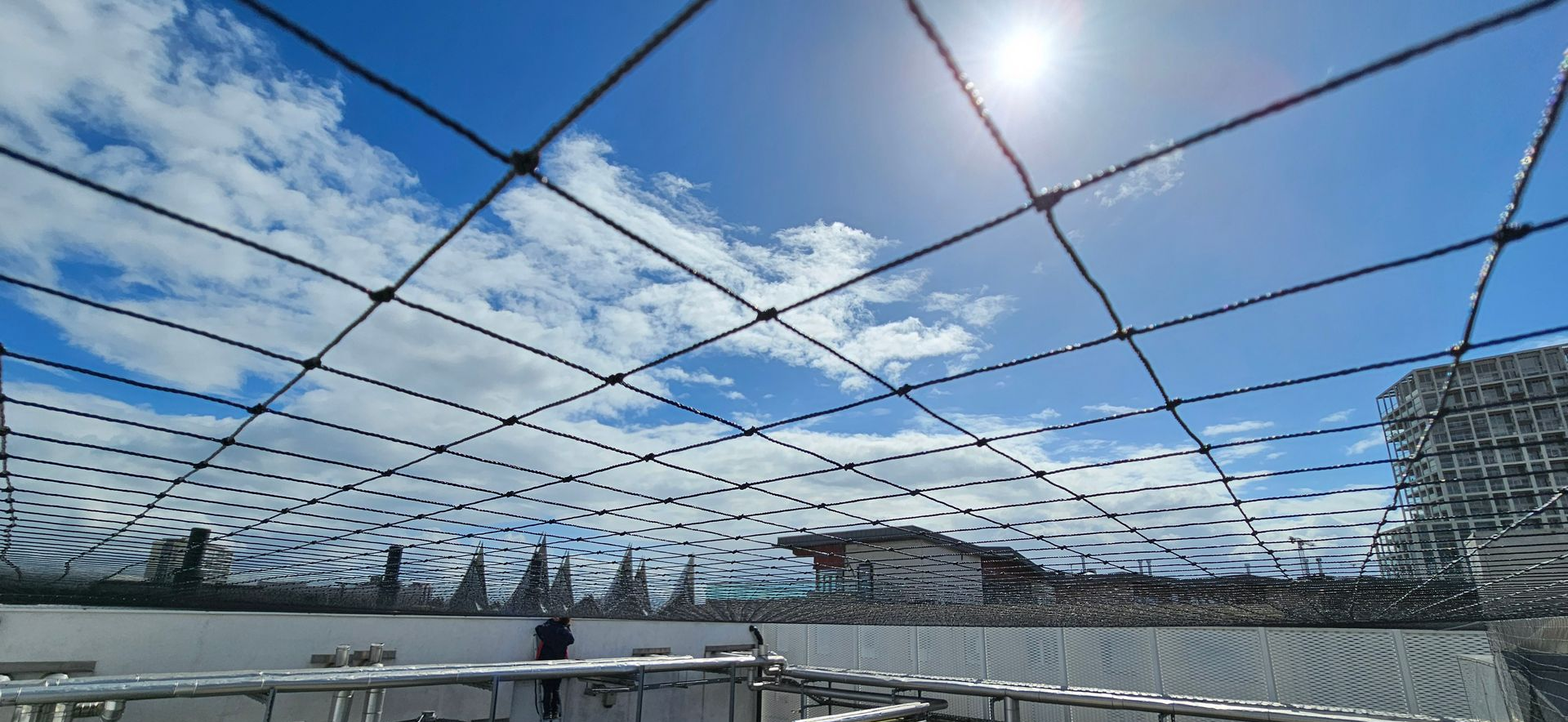 Vogelwering geplaatst in Hasselt op een dak door killbugs