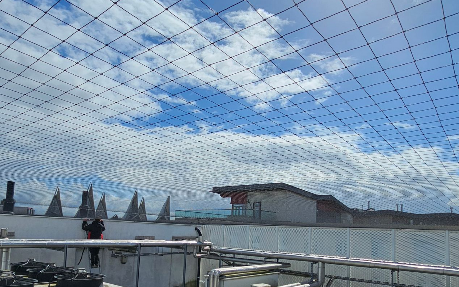 Vogelweringsnet geplaatst op dak in Antwerpen door Killbugs