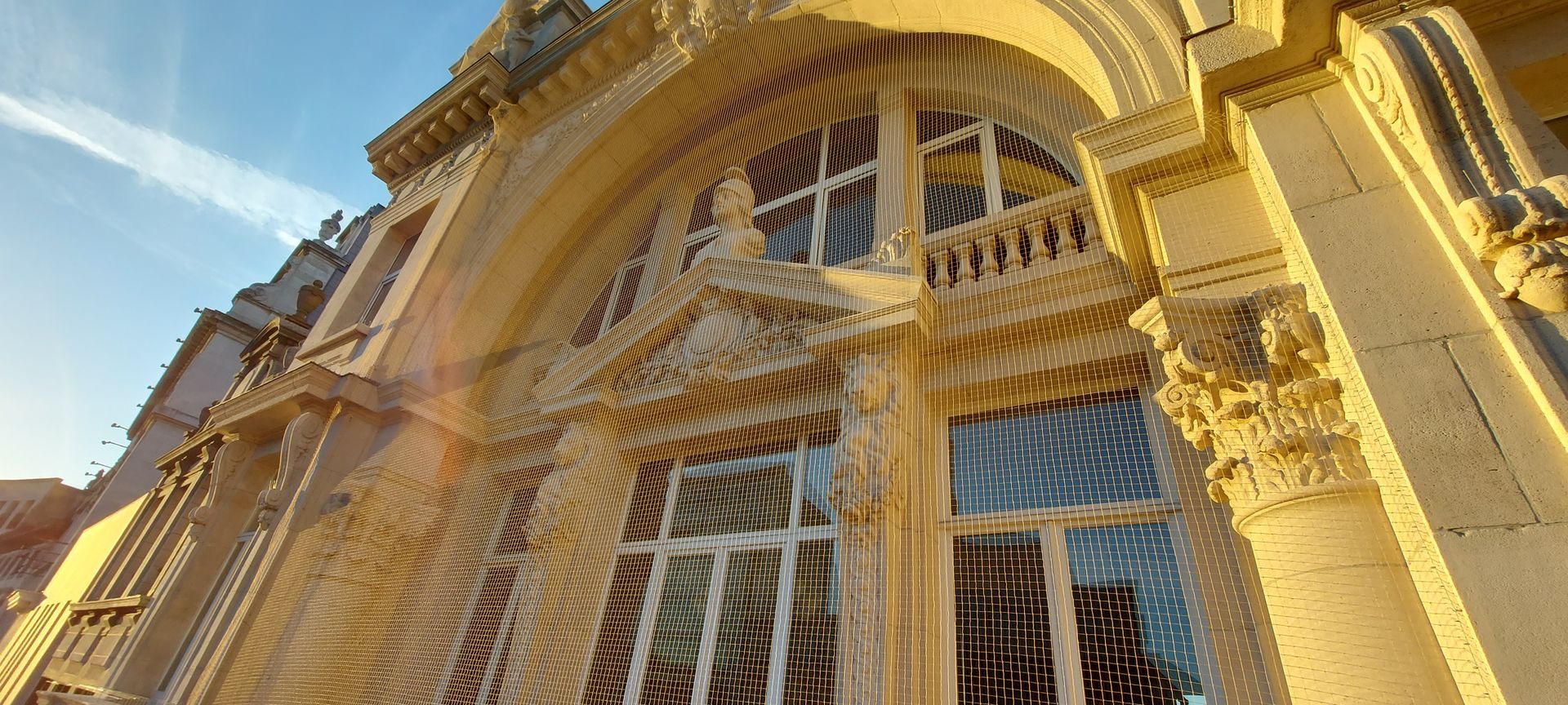 vogelweringsnetten geplaatst op monument in Antwerpen door killbugs