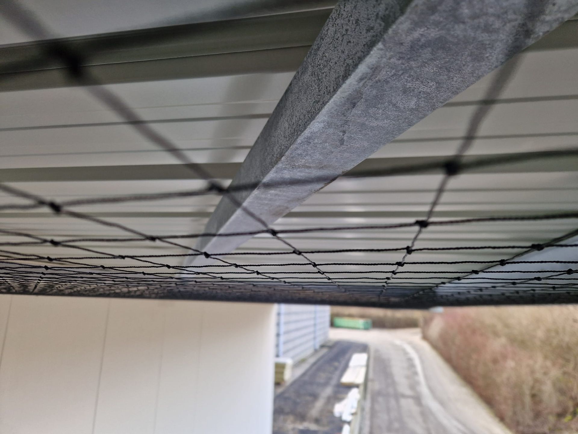 Vogelweringsnetten geplaatst onder luifel door Killbugs in Limburg