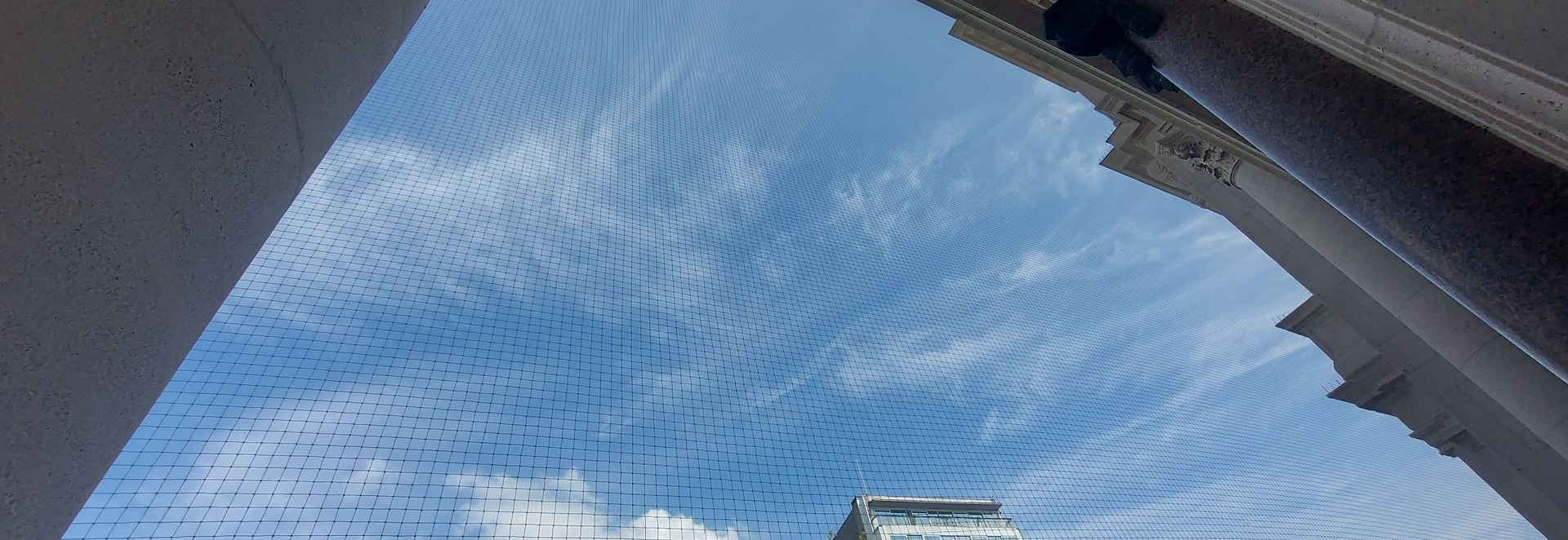 Vogelweringsnet geplaatst op gebouw in Hasselt door Killbugs