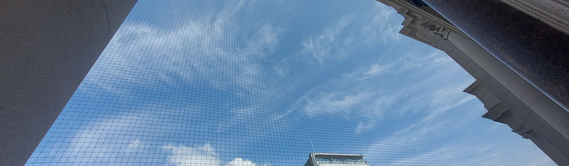 Vogelweringsnet geplaatst in Zolder door Killbugs