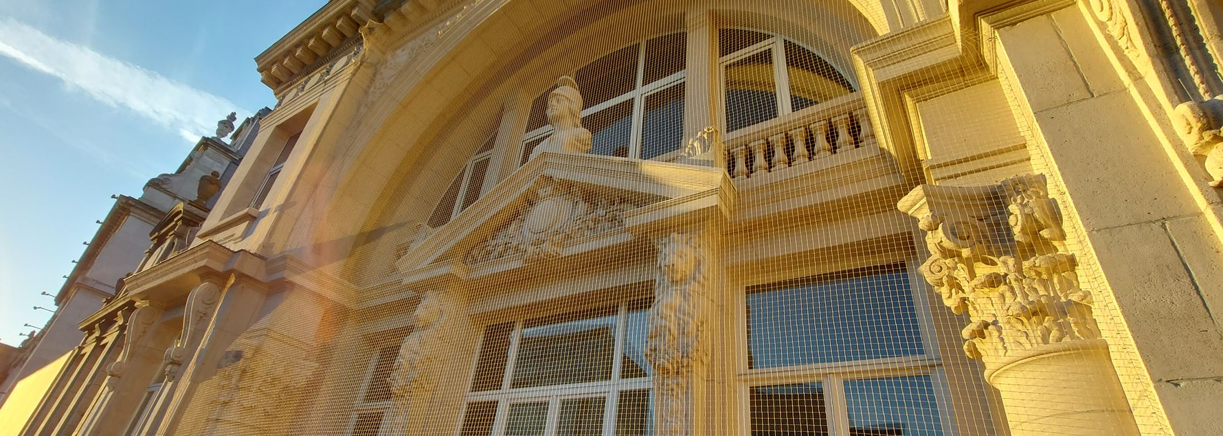 vogelweringsnet geplaatst voor monument in Antwerpen door killbugs