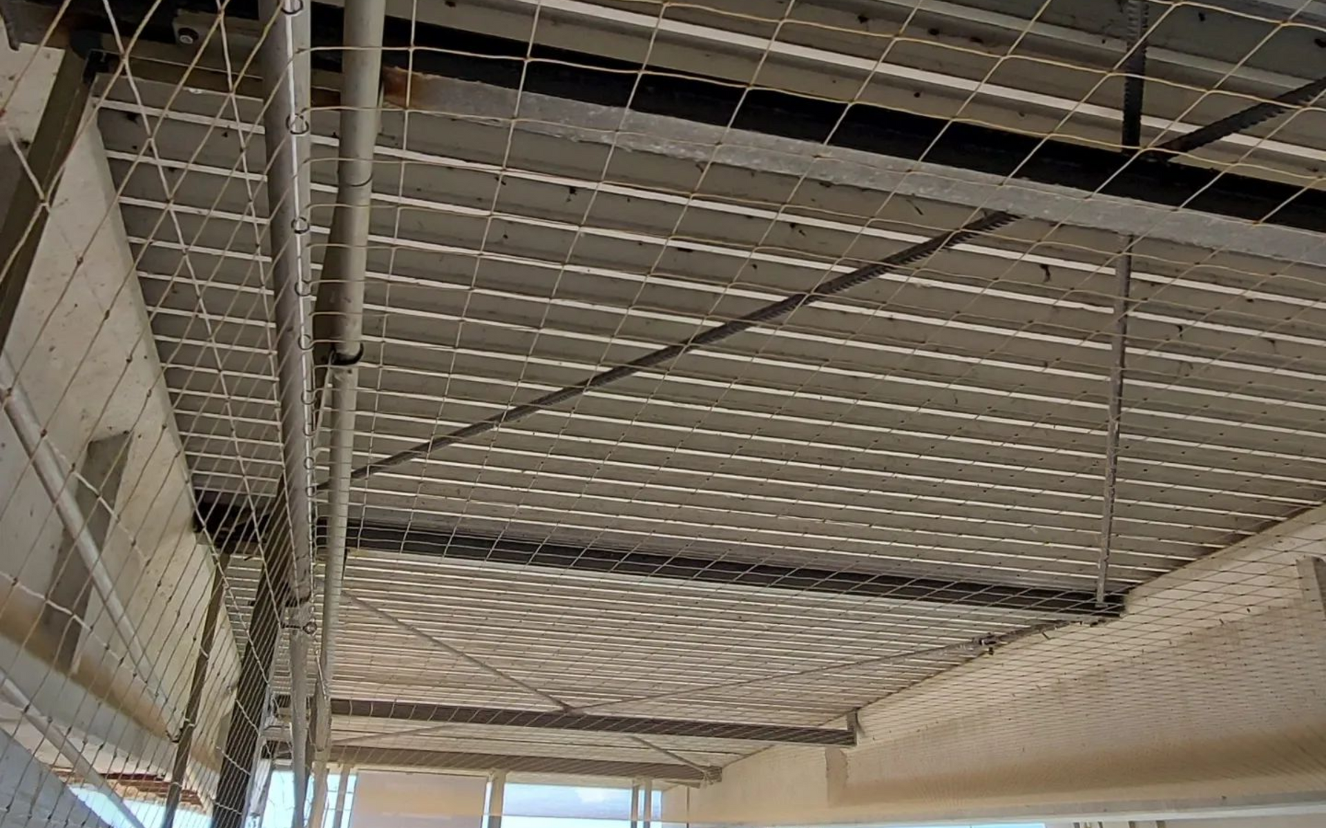 vogelweringsnet geplaatst onder luifel in Bree