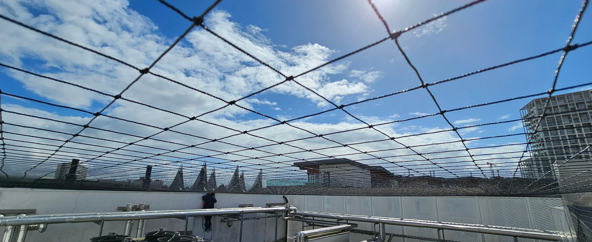 vogelweringsnet geplaatst op gebouw in Limburg door killbugs
