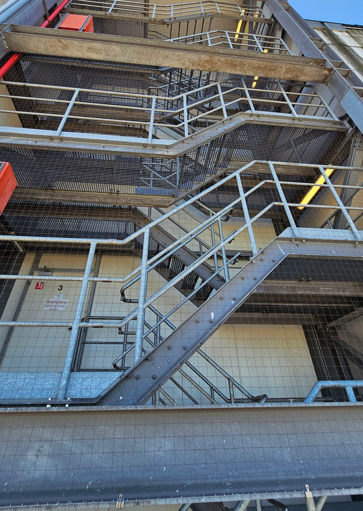 Plaatsen van  professionele vogelweringsnetten door Killbugs