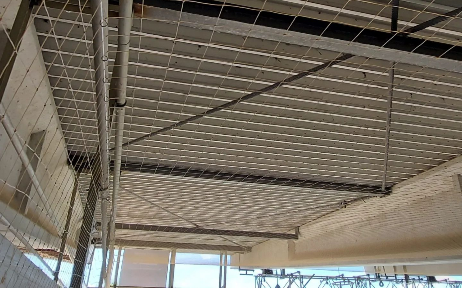 Vogelnetten plaatsen op bedrijven in Limburg door Killbugs