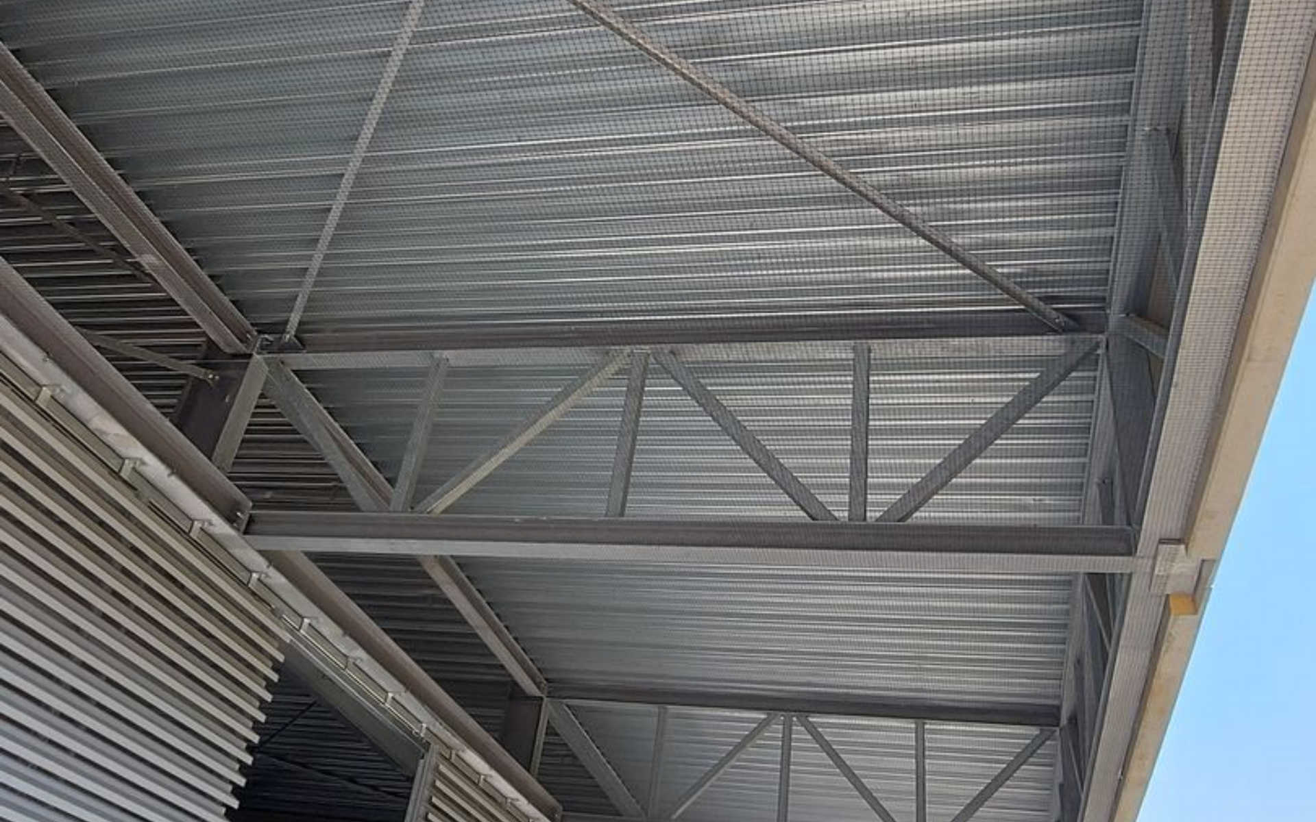 Vogelweringsnet geplaatst onder luifel in Antwerpen door Killbugs