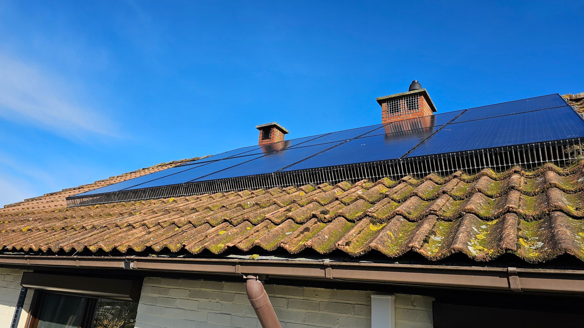 afgewerkte vogelwering op zonnepanelen tegen kauwen