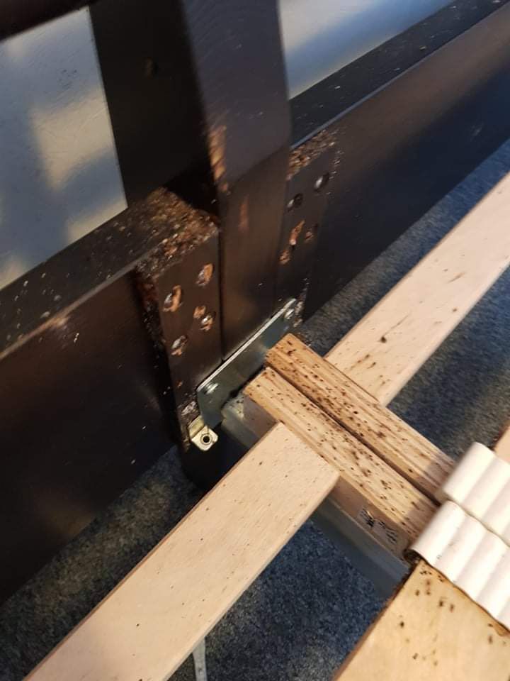 bedwantsen-op-de-lattenbodem