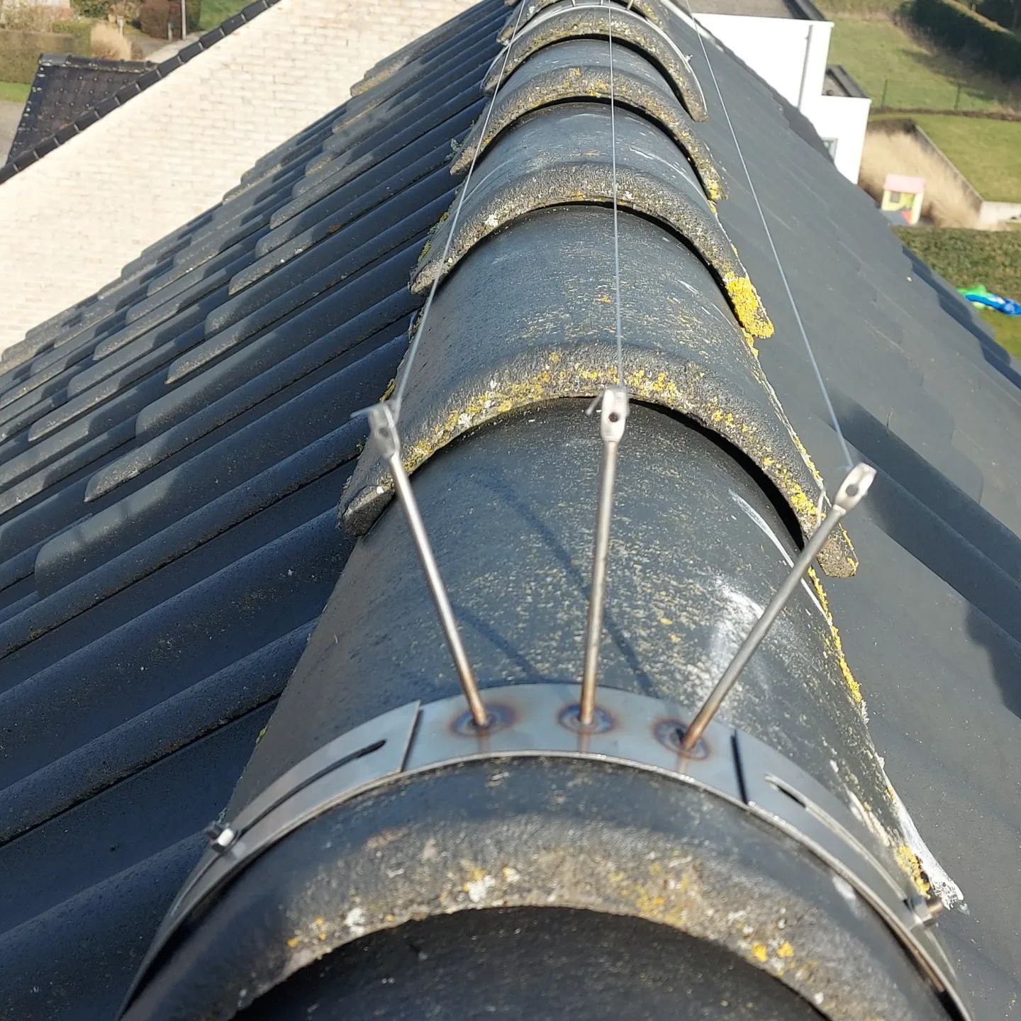 bird-wire geplaatst op daknok in Limburg door Killbugs