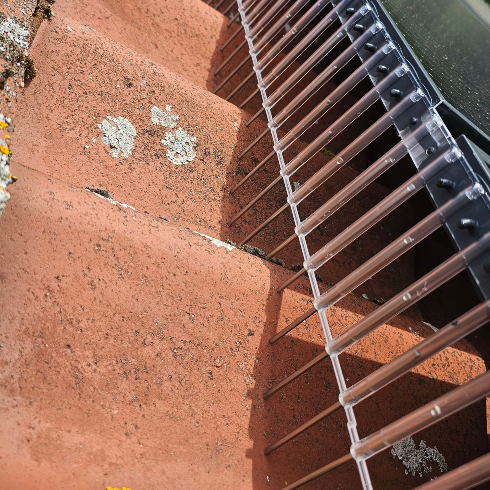 vogelwering op zonnepanelen plaatsen in Antwerpen door Killbugs