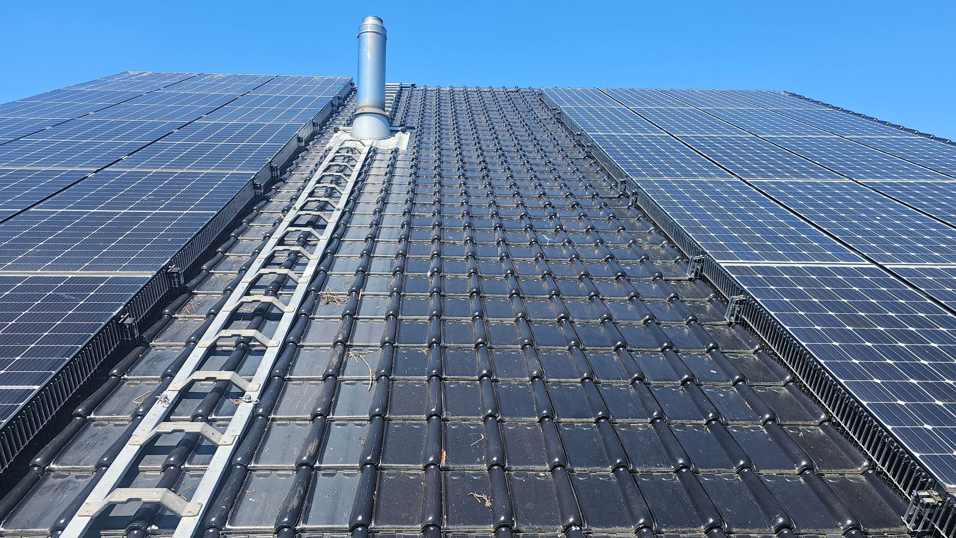 Vogelwering voor zonnepanelen geplaatst in Genk door Killbugs