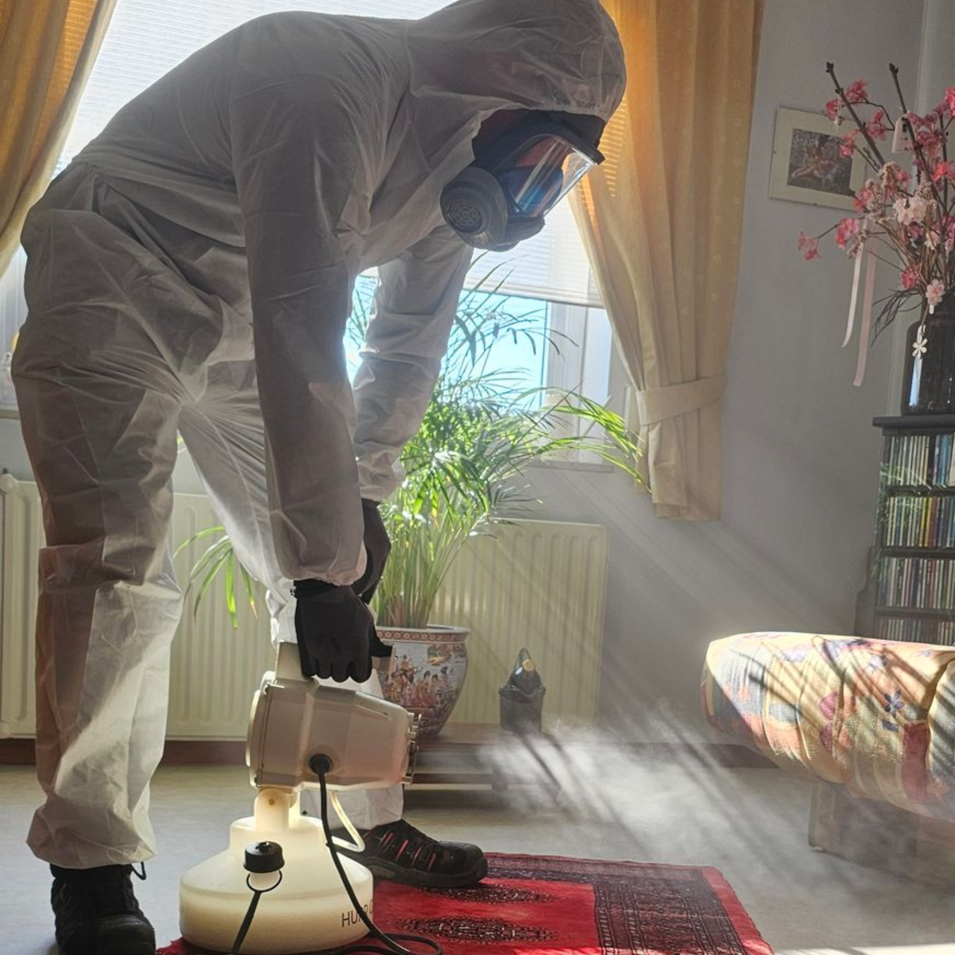 professionele kakkerlakkenbestrijding door killbugs