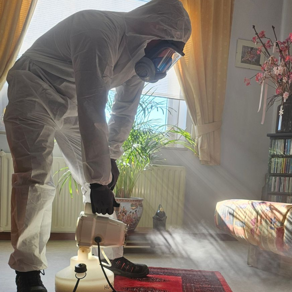 Professionele vlooienbestrijding in Limburg door Killbugs