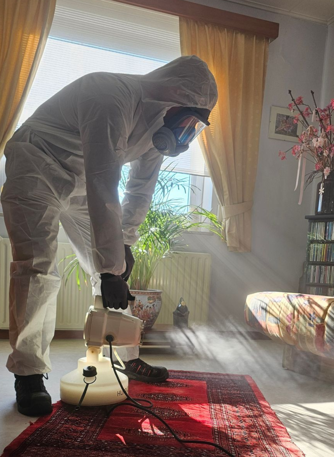 professionele tapijtkeverbestrijding in Limburg door Killbugs