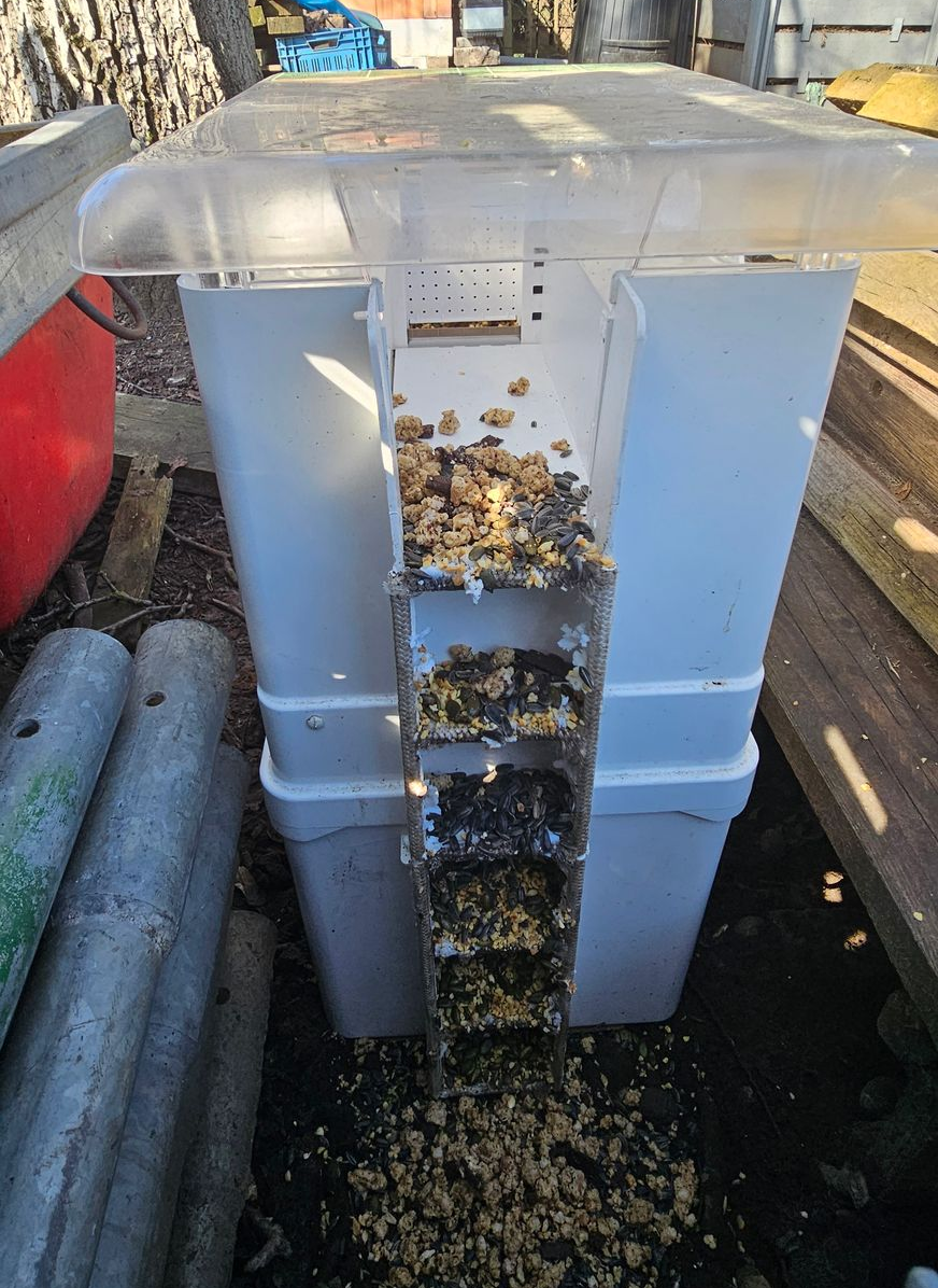 rattenbestrijding zonder vergif bij kippen in Limburg door killbugs