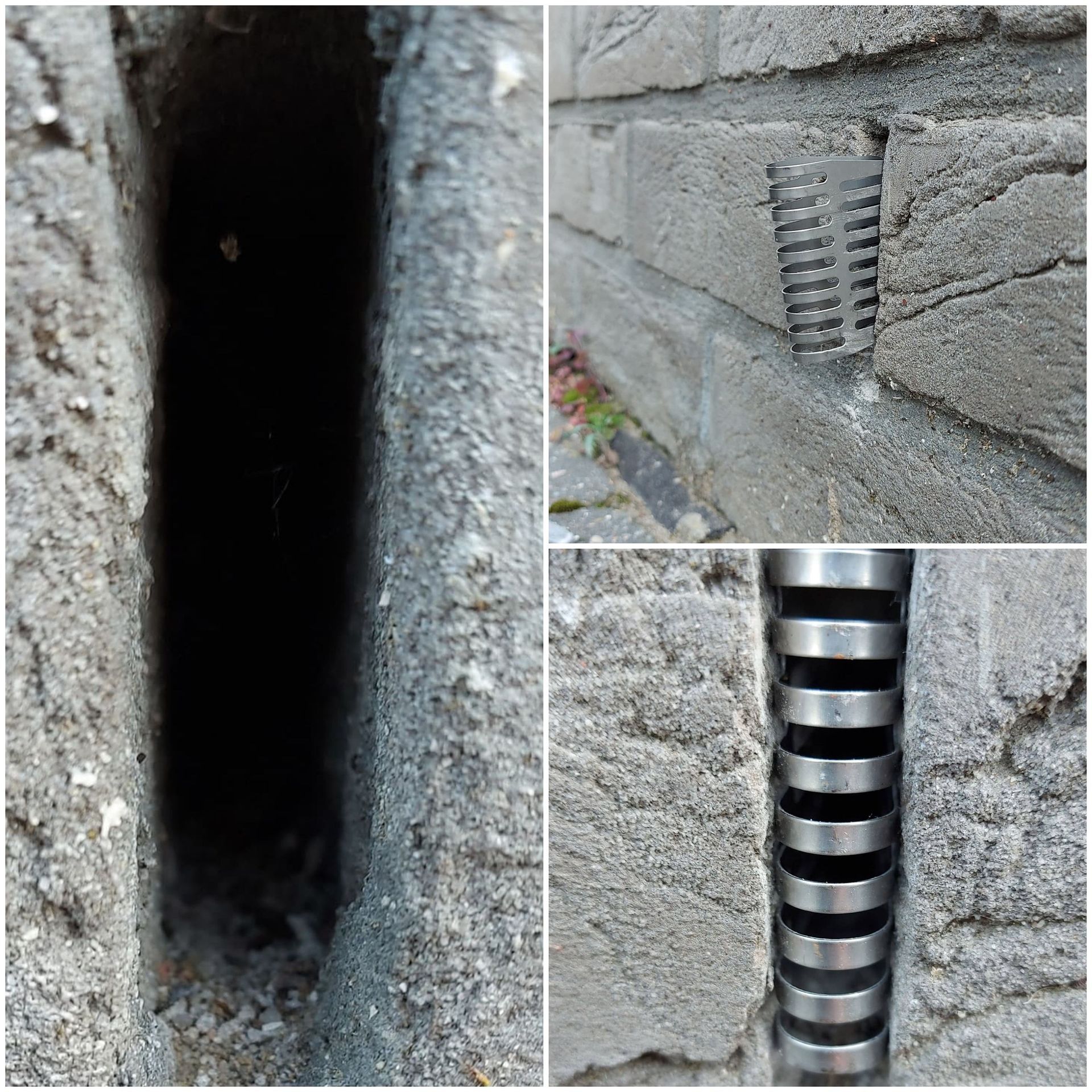 dichten van de spouwmuur tegen muizen in Limburg door Killbugs