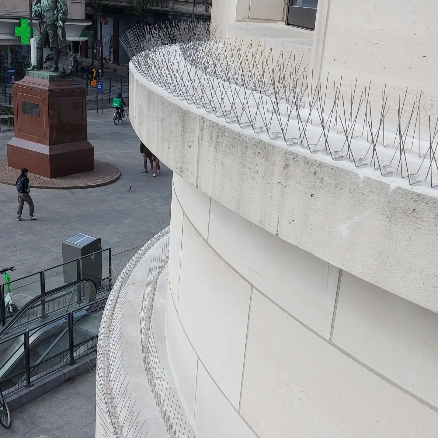 vogelpinnen plaatsen in Antwerpen op richel door killbugs