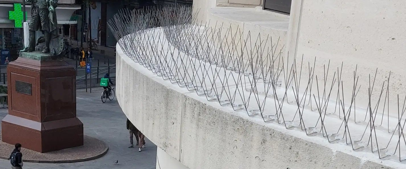 Vogelpinnen geplaatst op richel van winkel in Limburg door Killbugs