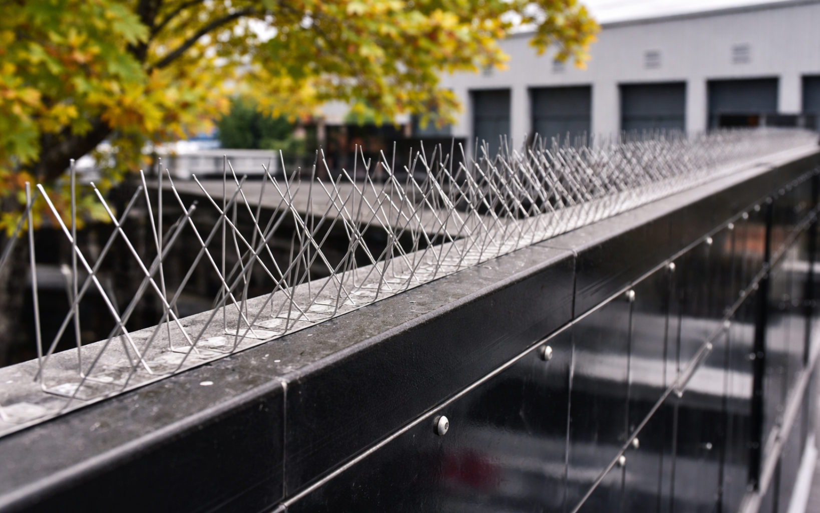 vogelpinnen plaatsen op bedrijven in Limburg